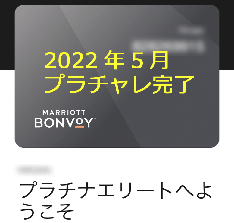 銀座買取 pichan88様専用　マリオット プラチナチャレンジ　2024年2月まで その他